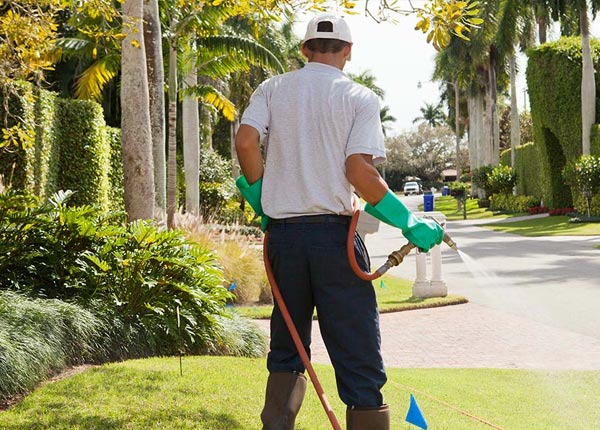 About Manchester TN Pest Control Pros